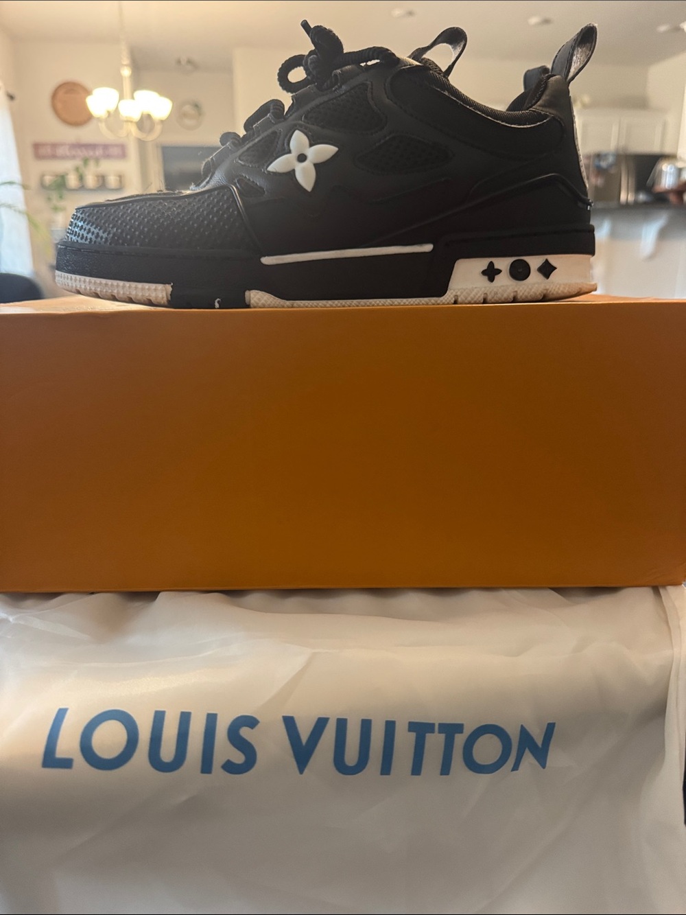 Louis Vuitton skates with White Accents(used) size 9